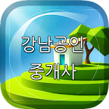 강남공인중개사(대전노은지구) icon