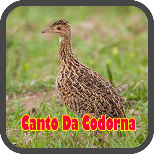Canto Da Codorna 2020