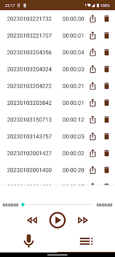 Simple Voice Recorder Screen 2