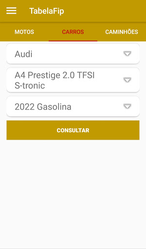 PlacaFip - Consulta placa Screen 3