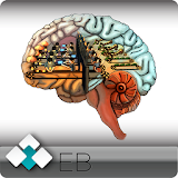 Higher Brain Function Hypnosis icon