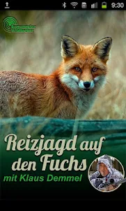 Fuchs Jagd