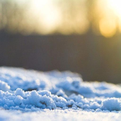 Snow Wallpapers logo