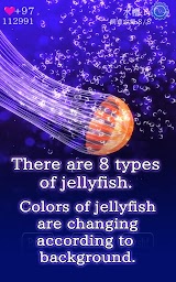 Jellyfish Friends　-free caring game-