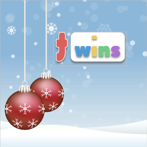 Twins New Year logo
