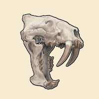 Fossil Quiz by PalaeoArt