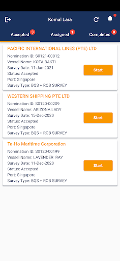BQS Surveyor Screen 2