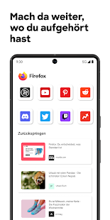 Firefox Browser: sicher surfen Screenshot
