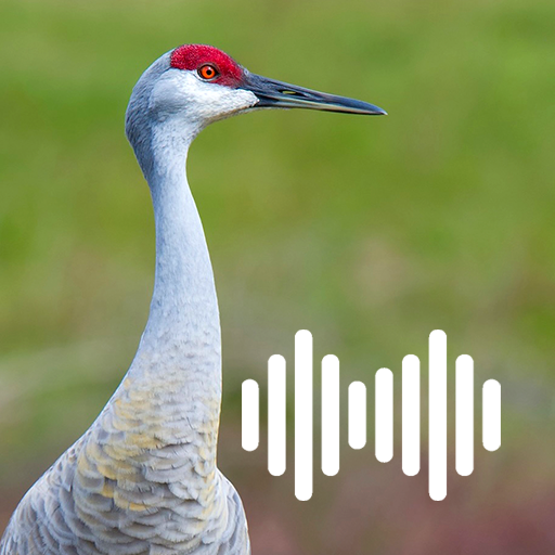 Crane Hunting Calls logo