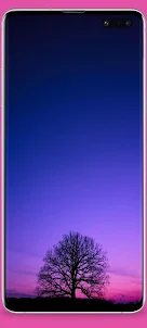 Фиолетовые обои HD