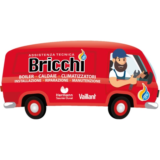Assistenza Bricchi logo