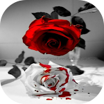 Cover Image of Tải xuống flowrs and gif 1.0 APK