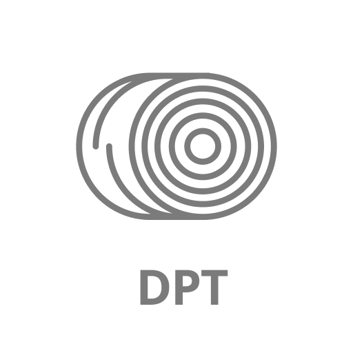 DPT logo