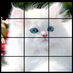 Cover Image of Unduh Cat Photo Puzzle 2022  APK