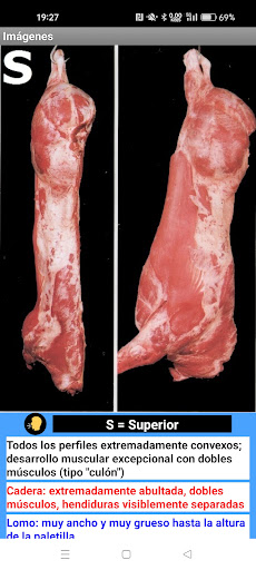 SEUROP Imaxes Beef Screen 2