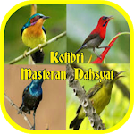 Cover Image of डाउनलोड Cerecetan Kolibri Masteran Dahsyat Offline 1.7 APK