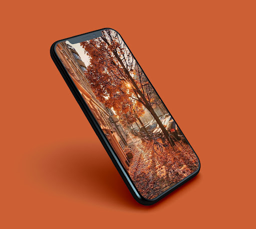 Fall Aesthetic Wallpapers