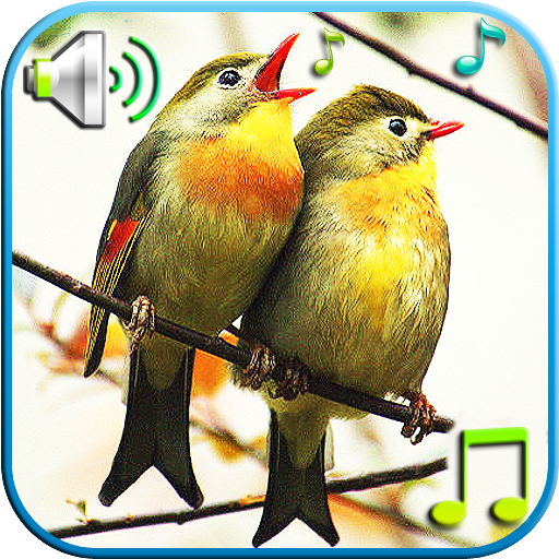 Birds Sounds & Ringtones  Icon