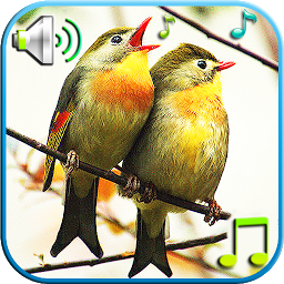 Obrázek ikony Birds Sounds & Ringtones