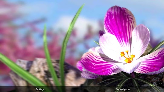 自然生活春天的花朵 XL 补丁 APK 5