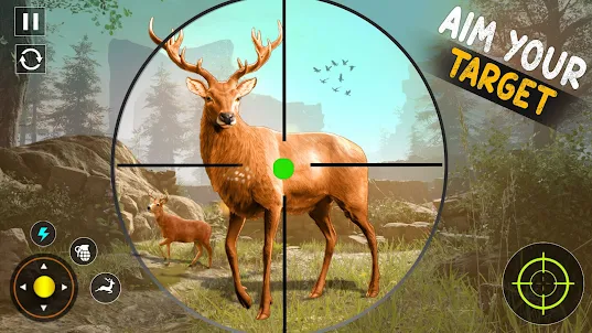 Wild Animal Hunting & Shooting
