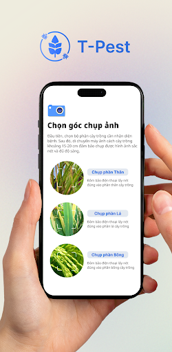 Android application T-Pest screenshort