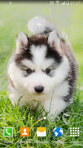 Cute Puppies Live Wallpaper Screen 2
