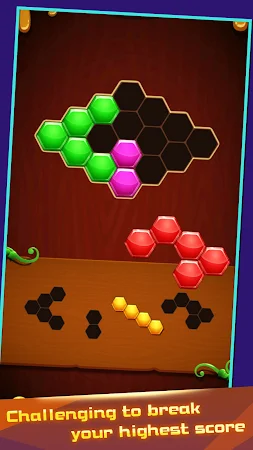 Game screenshot Hexa Puzzle Master hack