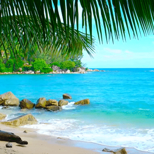 Relaxing Beaches logo