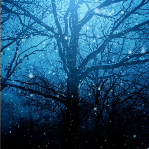 Dream Night Live Wallpaper Pro logo