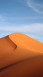 Desert Wallpaper