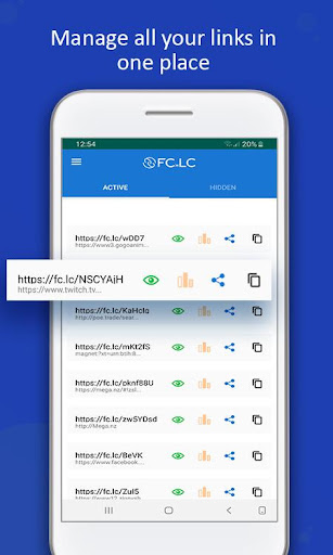 FC.LC Make Money URL Shortener Screen 3
