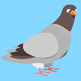 Pigeon Hunt icon