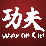 Kung Fu The Way of Chi icon