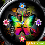 Cover Image of Скачать Autumn Butterfly and Pebbles_W  APK