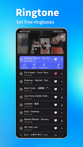 All Video to MP3 Converter Screen 3