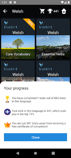 Welsh Language Tests Screen 3