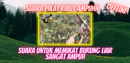Pikat Burung Ribut Offline Screen 2