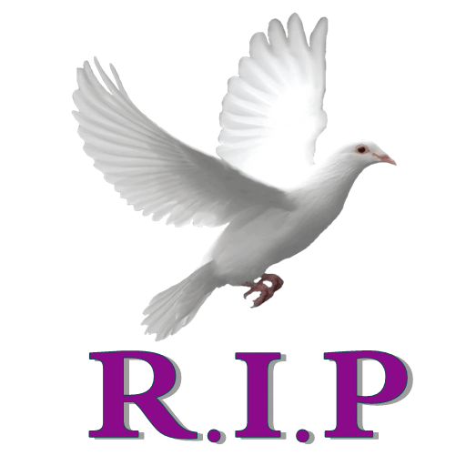 RipKenya - Death and Funeral A logo