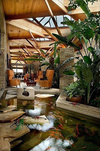 Fish Pond Design Ideas