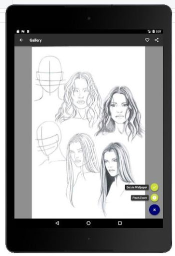 Face Drawing Step by Step 1.3.0 screenshots 5
