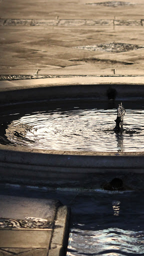 Android application water fountain wallpaper screenshort