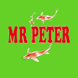 Mr Peter Chinese Takeaway icon