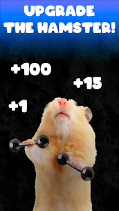 Hamster Clicker 1