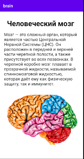Android application Мозг screenshort