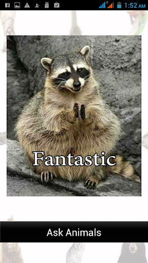 Android application Ask Funny Animals 2023 screenshort