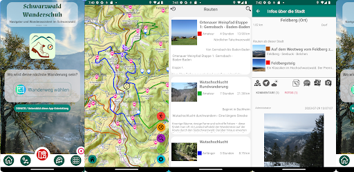 Schwarzwald Hiking Shoe