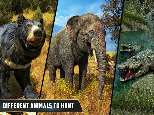 Wild Animal Hunting : Jungle Sniper FPS Shooting 1.10 screenshots 6