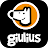 Icon image