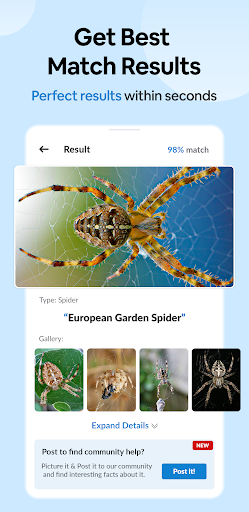 Insect Spider & Bug identifier Screen 2